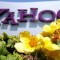 Renuncia presidente de la mesa directiva de Yahoo