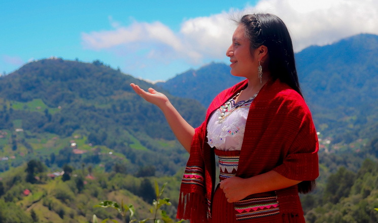 google-lenguas-indigenas