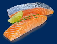 salmon